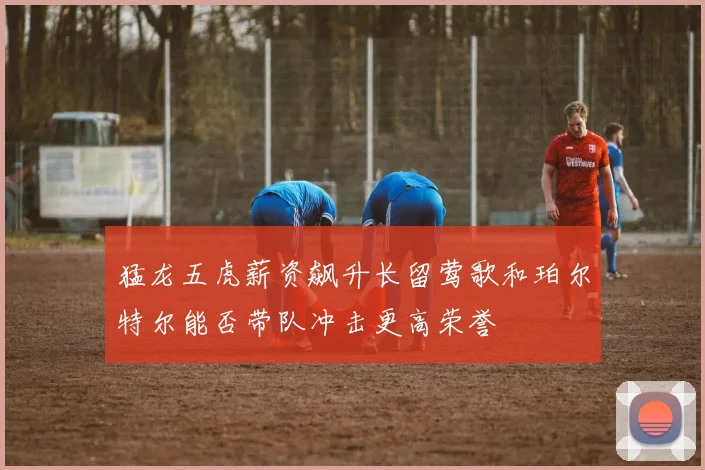 猛龙五虎薪资飙升长留莺歌和珀尔特尔能否带队冲击更高荣誉