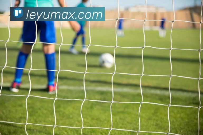 乐鱼体育品牌故事