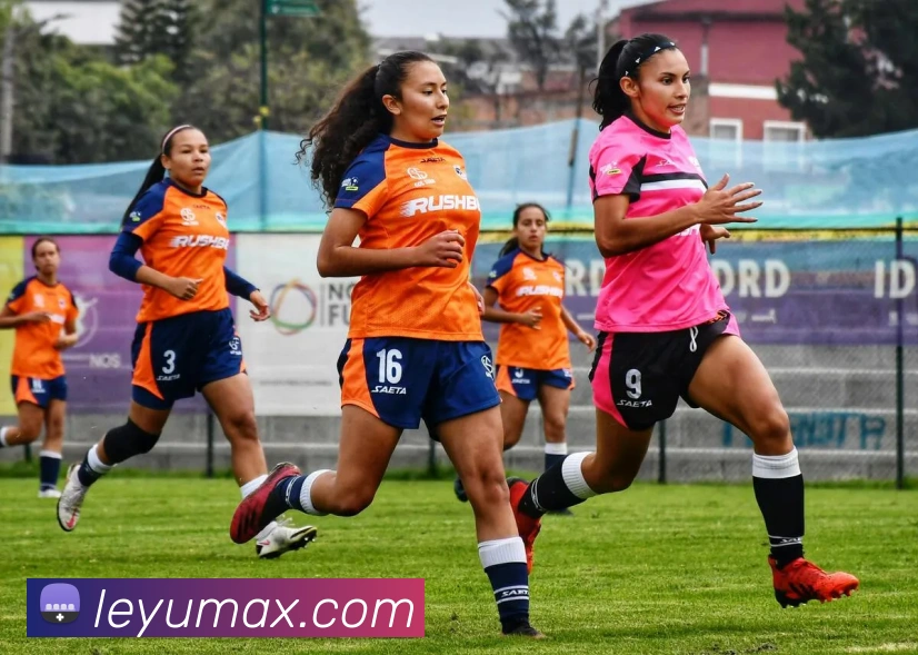 乐鱼体育服务体系